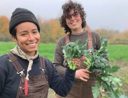 Feminist agroecology takes centre stage in Brussels: the 4th CIFA Colloquium