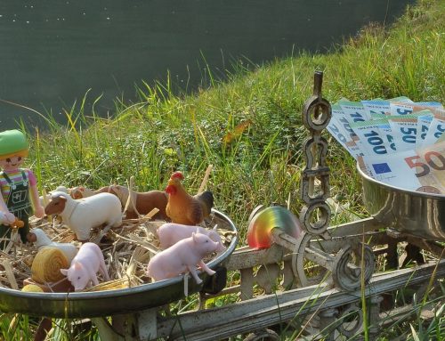 Gender Responsive Budgeting as a way to make European agriculture policies more inclusive