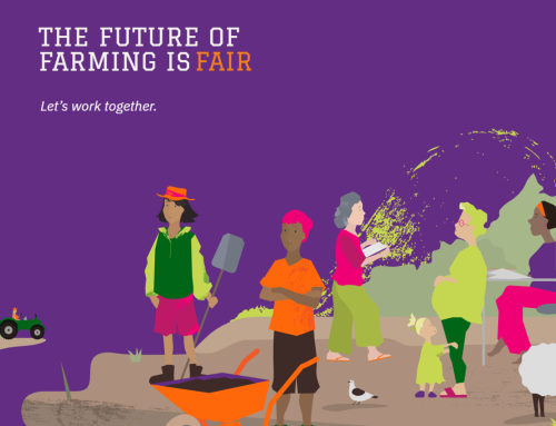 New SWIFT Advocacy Tool: turning research into action for more gender-equitable agricultural policies